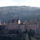 Schloss Heidelberg