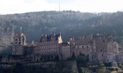 Schloss Heidelberg