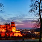 Schloss Heidelberg 