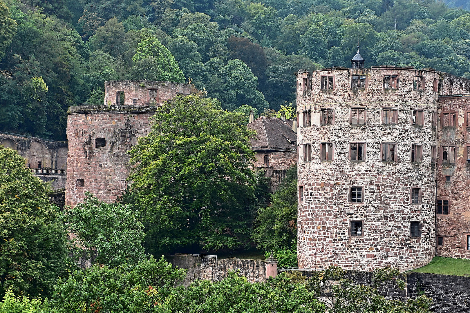 Schloss Heidelberg