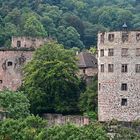 Schloss Heidelberg