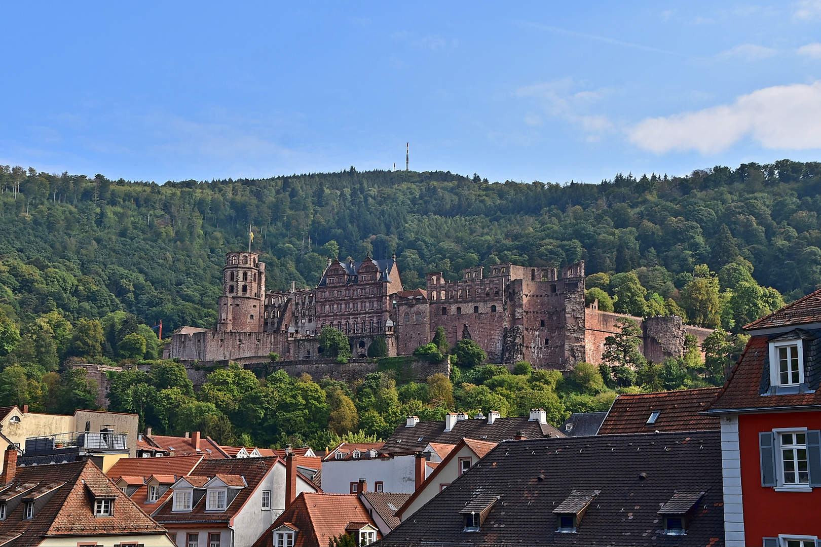 Schloss Heidelberg