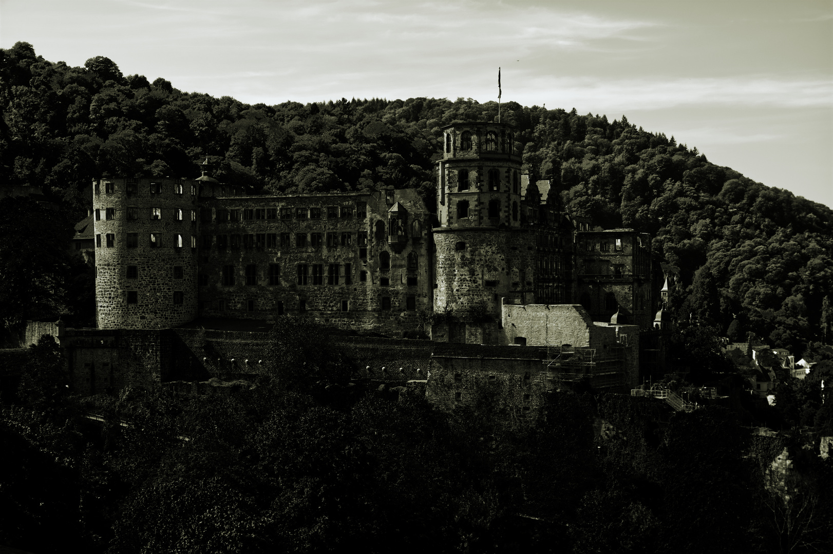 Schloss Heidelberg