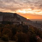 Schloss Heidelberg