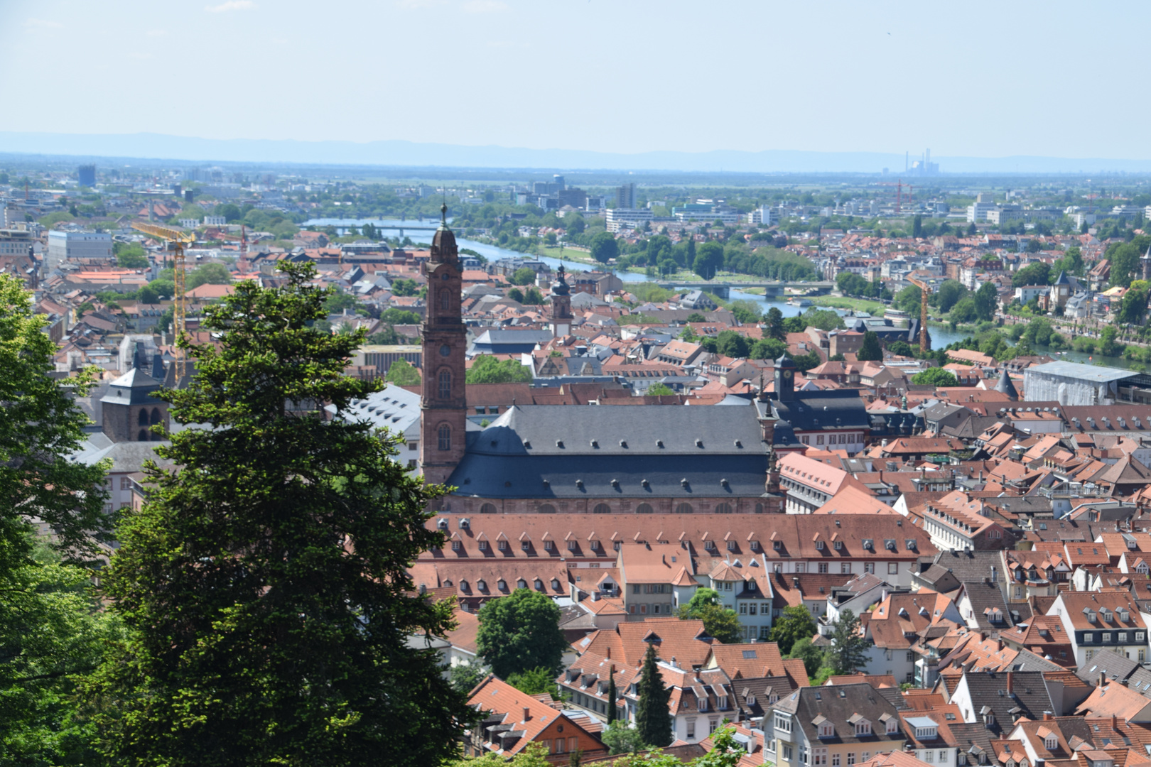 Schloss Heidelberg