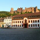 *Schloss Heidelberg*