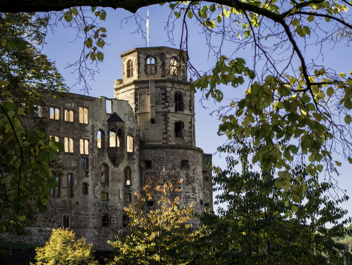 Schloss Heidelberg