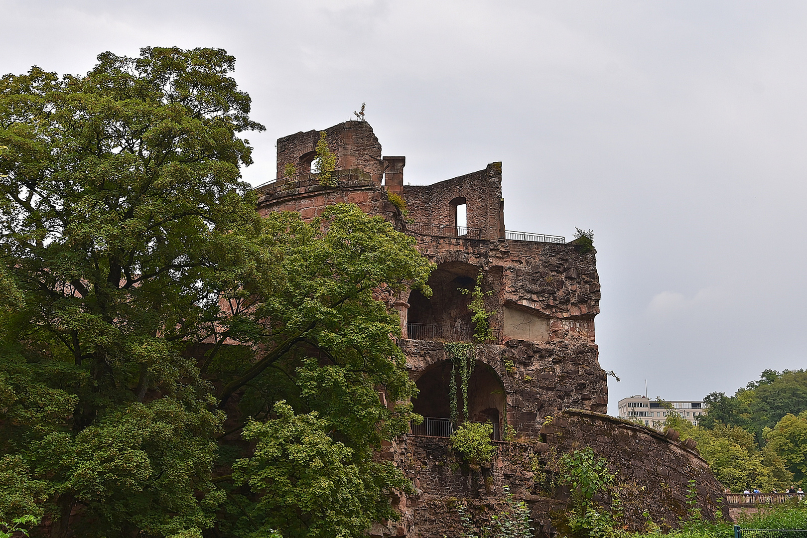 Schloss Heidelberg