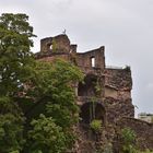 Schloss Heidelberg