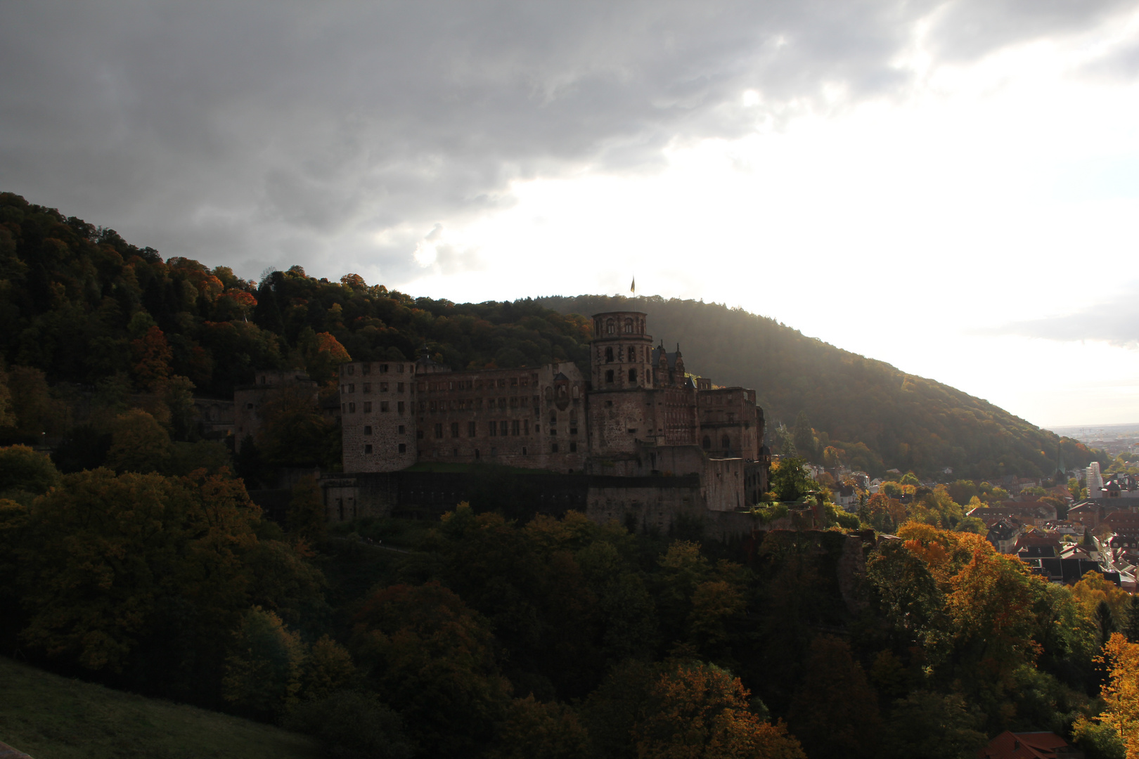 Schloss Heidelberg