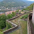 Schloss Heidelberg