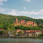 Schloß Heidelberg heute in der Abendsonne