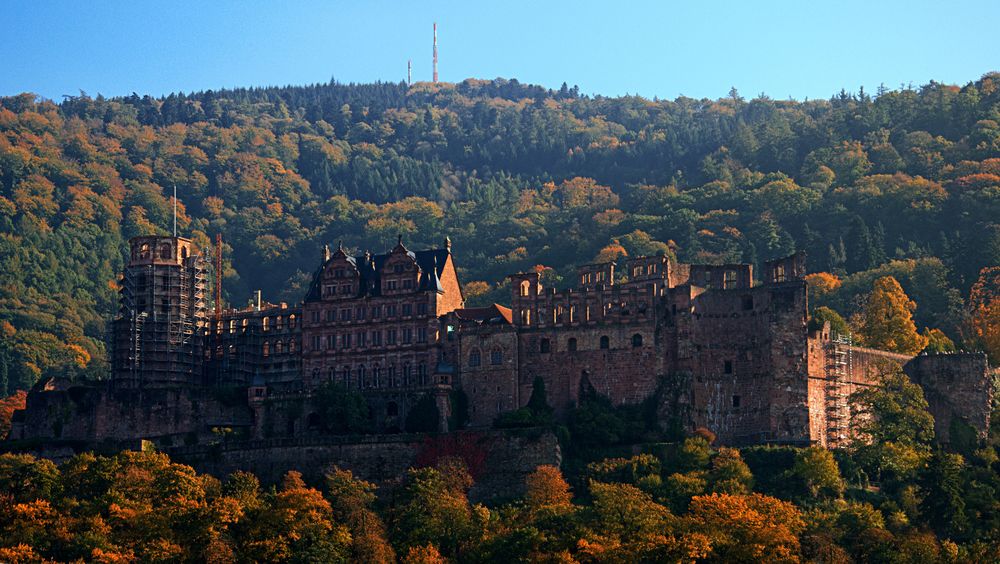 Schloß Heidelberg im Herbstlicht