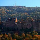 Schloß Heidelberg im Herbstlicht