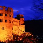 Schloss Heidelberg - in der Nacht