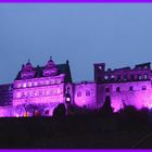 Schloss Heidelberg Teil 2 Weltfrühchentag 2013