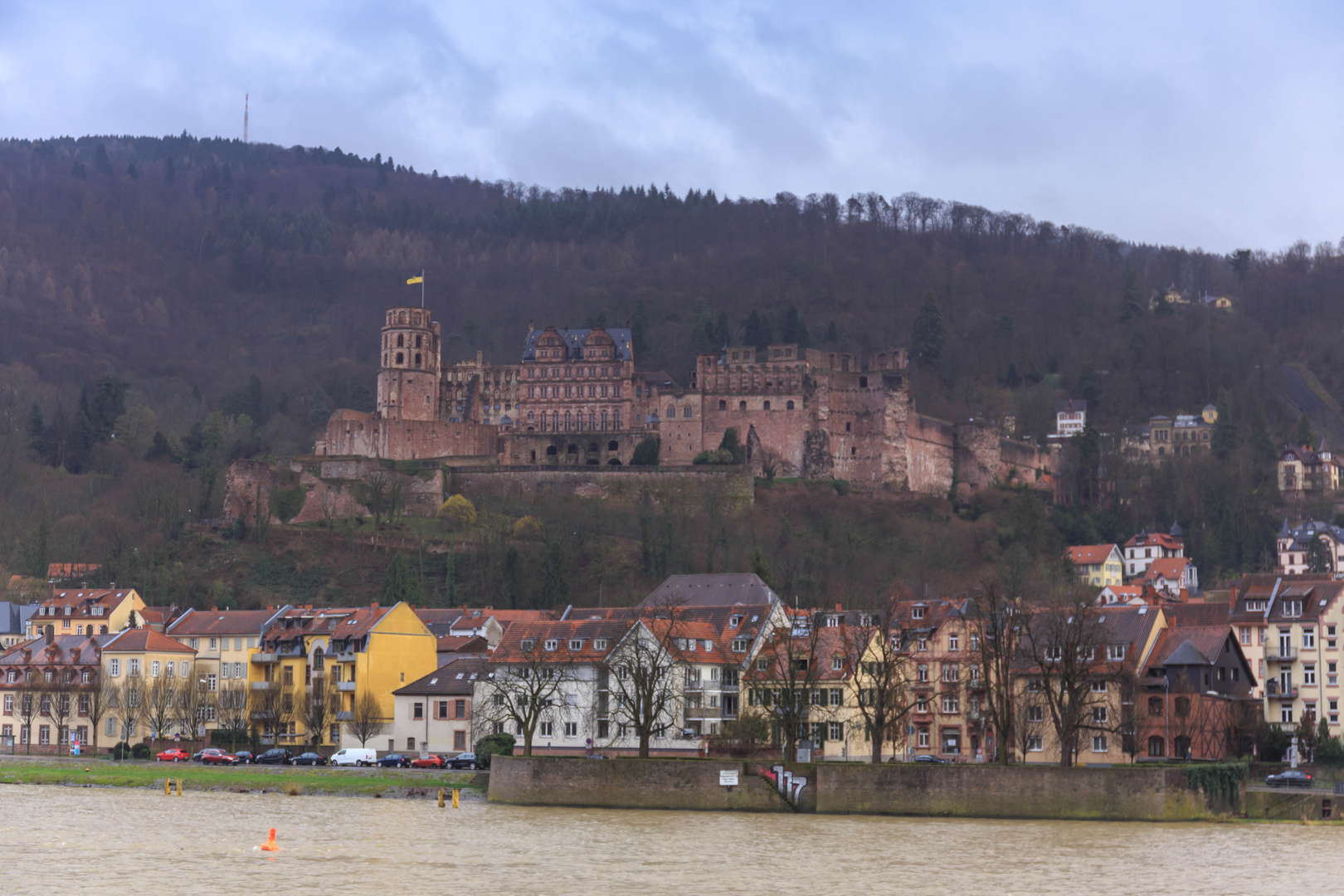 Schloss Heidelberg_5759-1