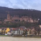 Schloss Heidelberg_5759-1