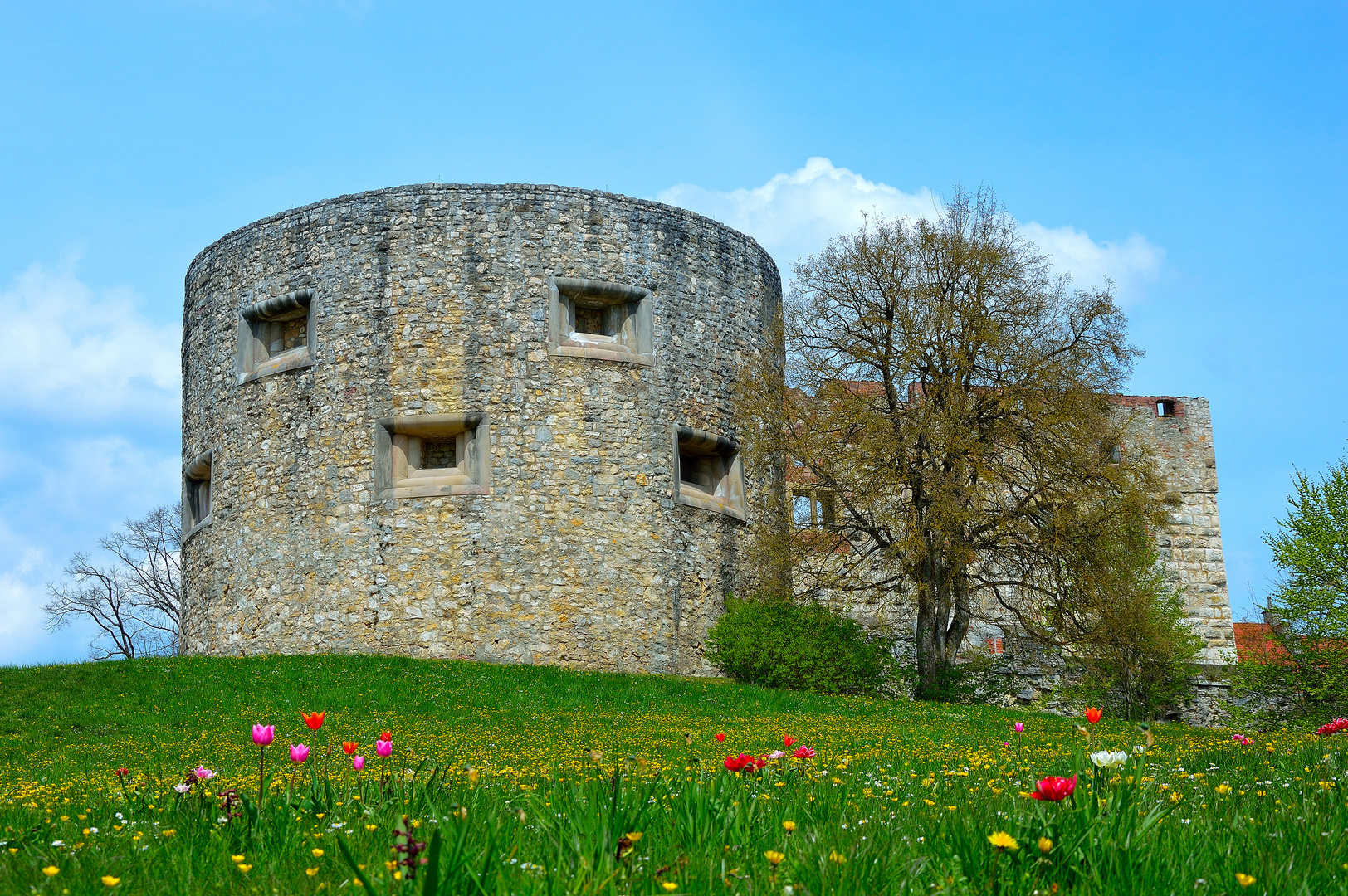 Schloss Hellenstein HDH