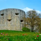 Schloss Hellenstein HDH