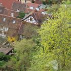 Schloss Hellenstein in Heidenheim an der Brenz