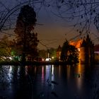 Schloss Herten im "Lichterwald 2014"