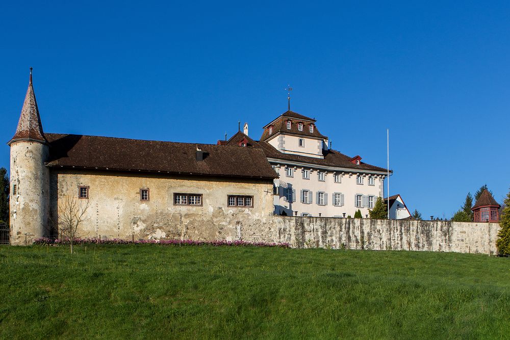 Schloss Hilfikon