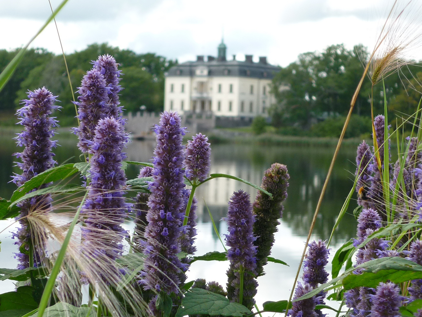 Schloss hinter Blumen