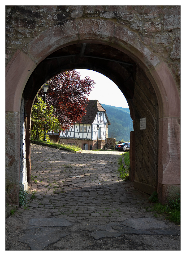 Schloss Hirschhhorn