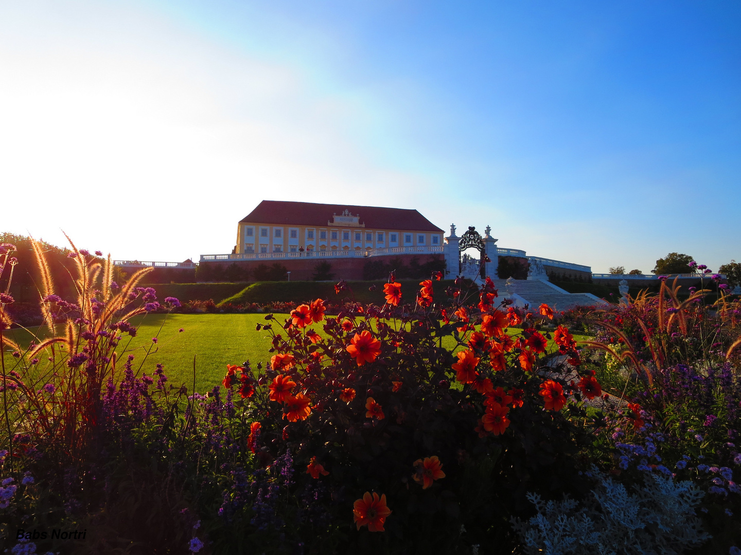 Schloss Hof