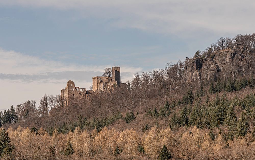 Schloss Hohenbaden