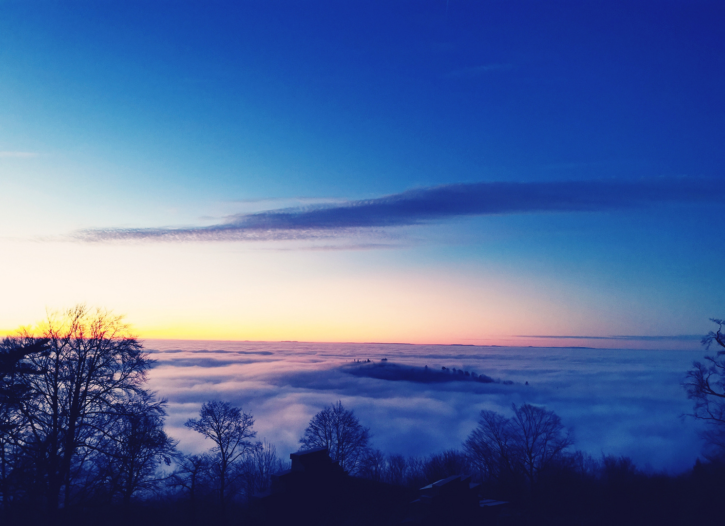 Schloss Hohenbaden Ausblick mit Nebel