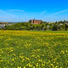 Schloss Hoheneck