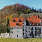 Schloss Hohenschwangau (3)