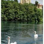 Schloss Hohenschwangau