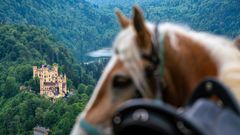 Schloss Hohenschwangau