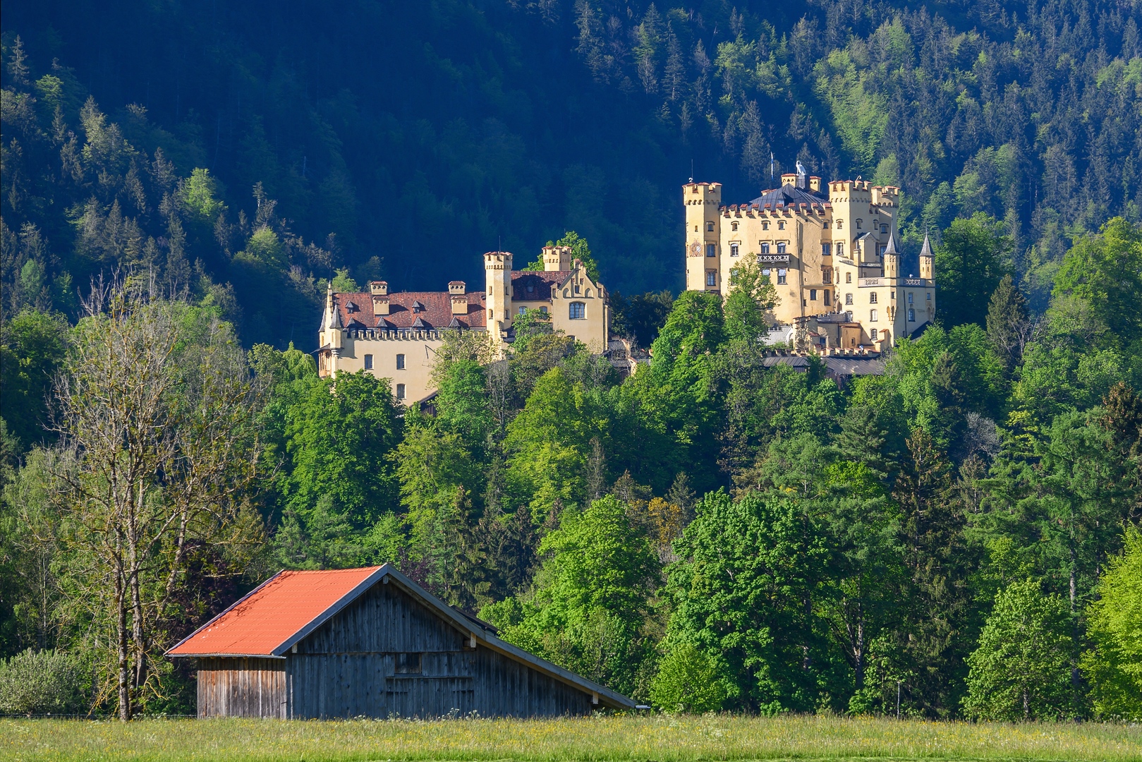 ::. Schloss Hohenschwangau .::