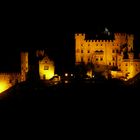 Schloss Hohenschwangau bei Nacht