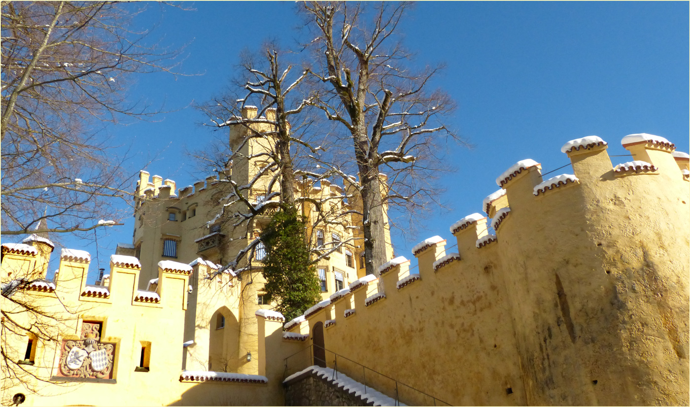 SCHLOSS HOHENSCHWANGAU DETAIL