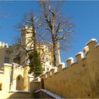 SCHLOSS HOHENSCHWANGAU DETAIL