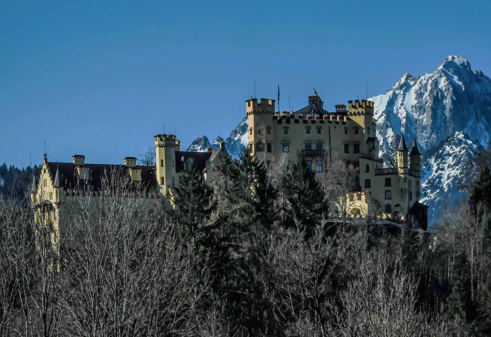 Schloss Hohenschwangau - Hohenschwangau