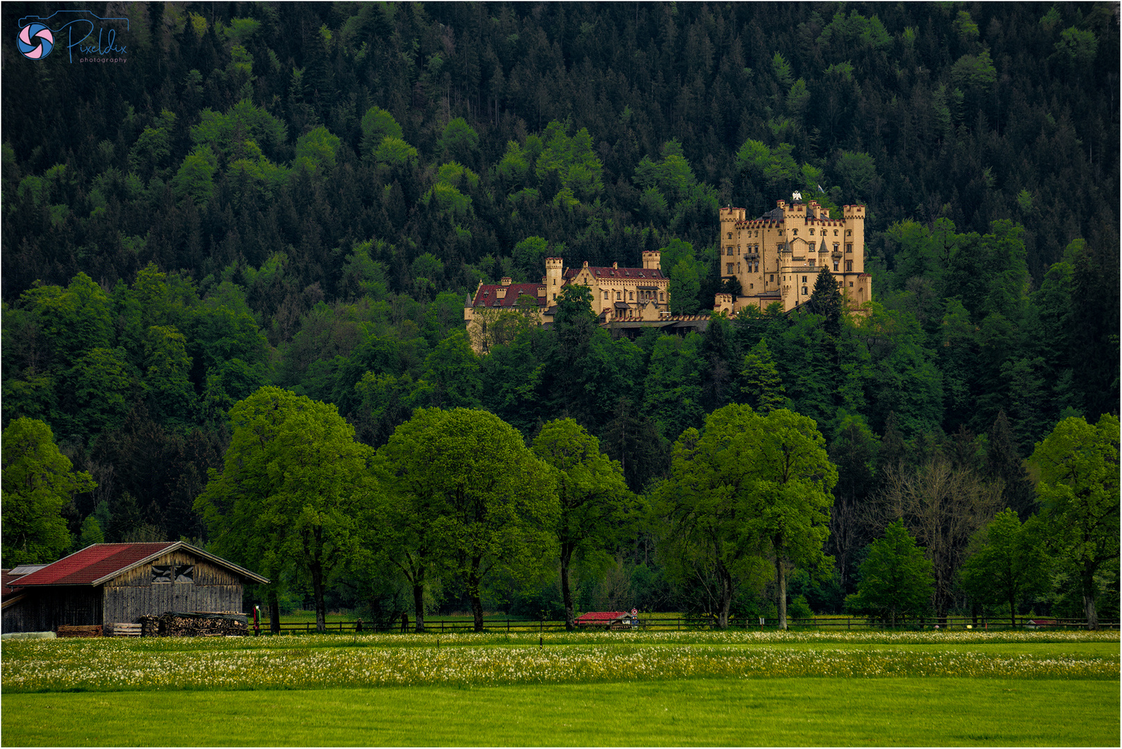 Schloss Hohenschwangau im Allgäu