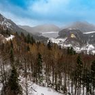 Schloss Hohenschwangau im Winternebel