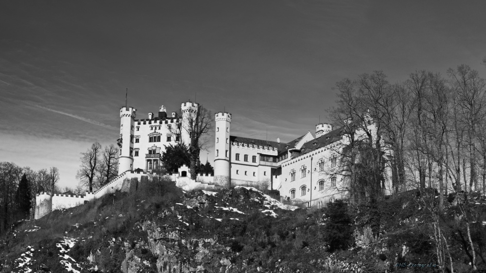 Schloß Hohenschwangau_5