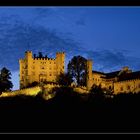 Schloss Hohenschwangau@night III