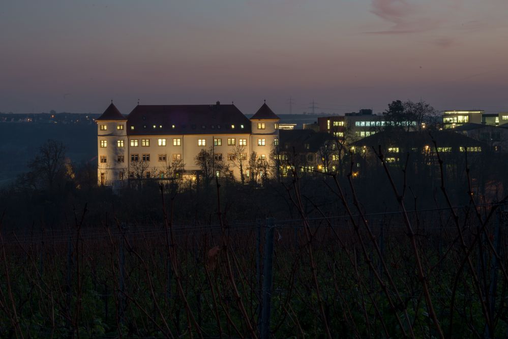 Schloss Hohenstein