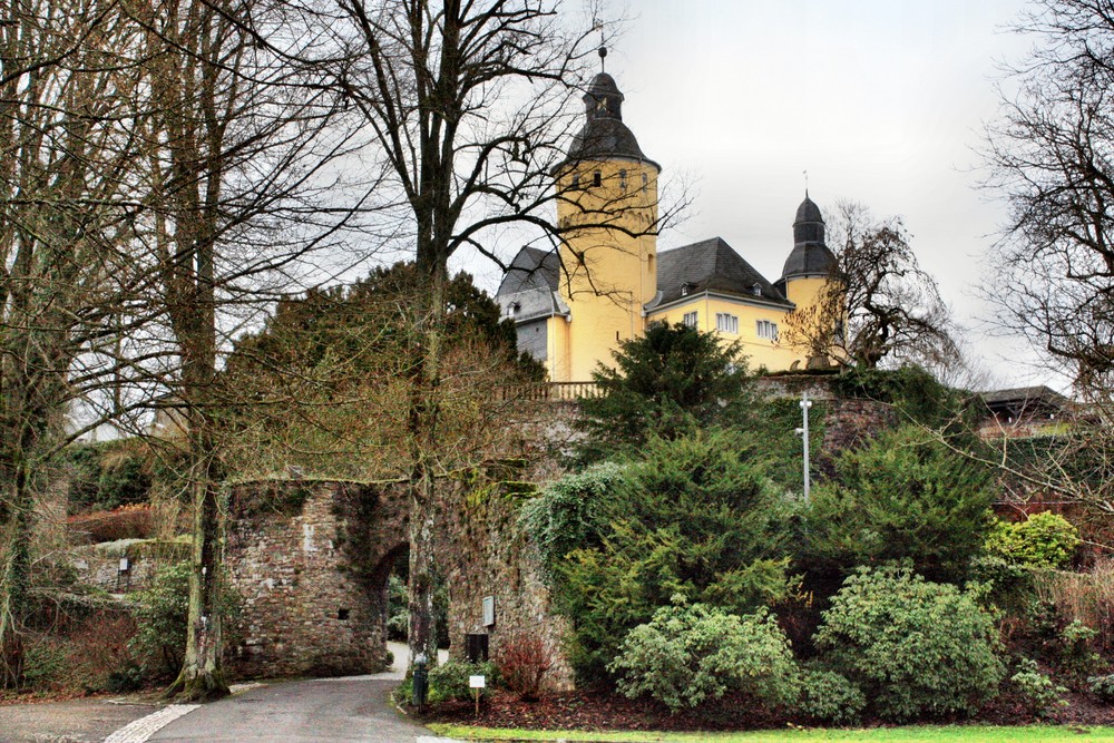 Schloss Homburg