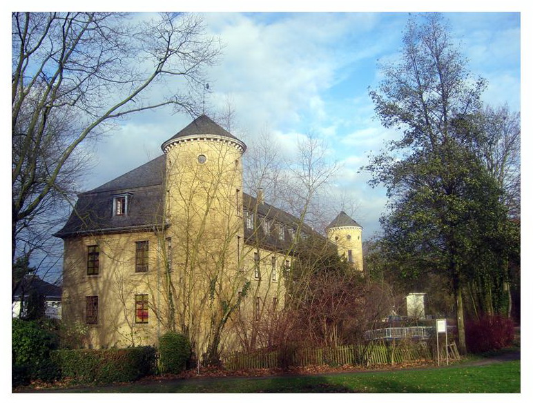 Schloss Horneburg im November 2009