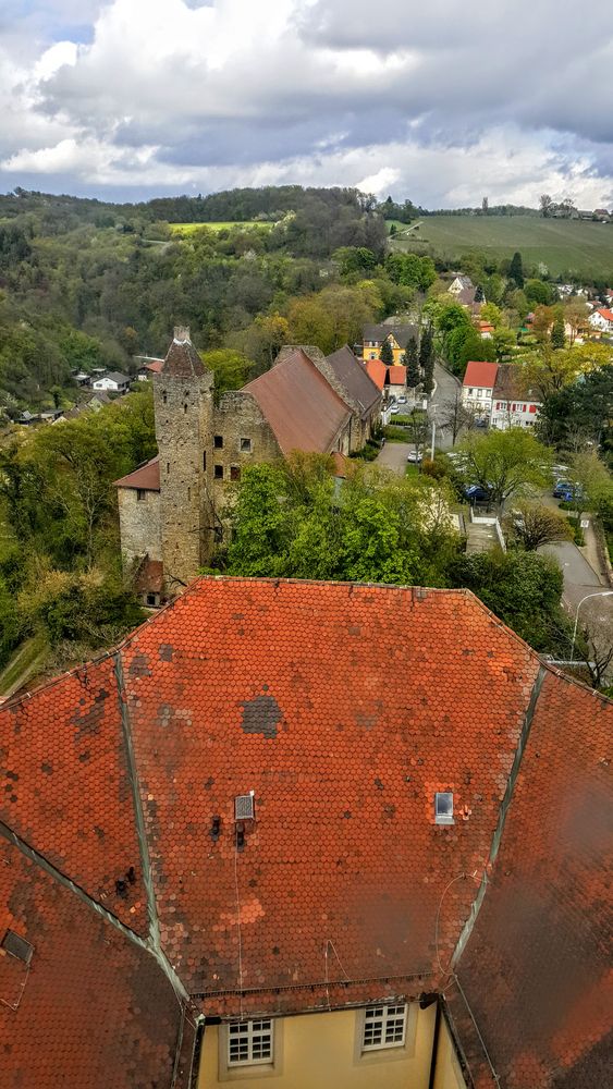 Schloß Horneck Gundelsheim 1