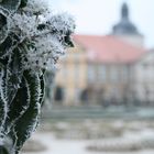 Schloss hundisburg